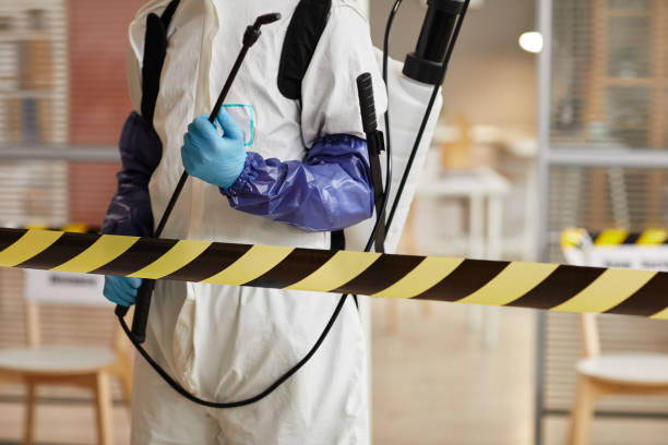 Professional Sewage Cleanup technician working in Rochester, IN